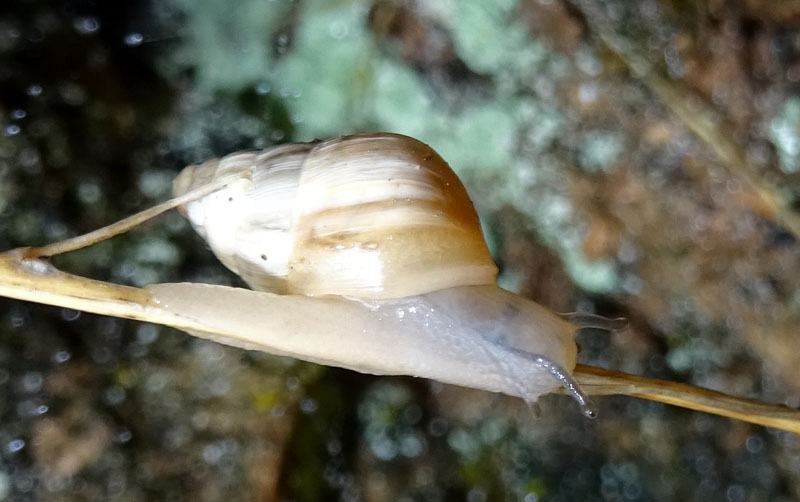 un giretto sotto l''acqua......